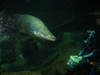 Underwater World Singapore &copy; summerly noon
